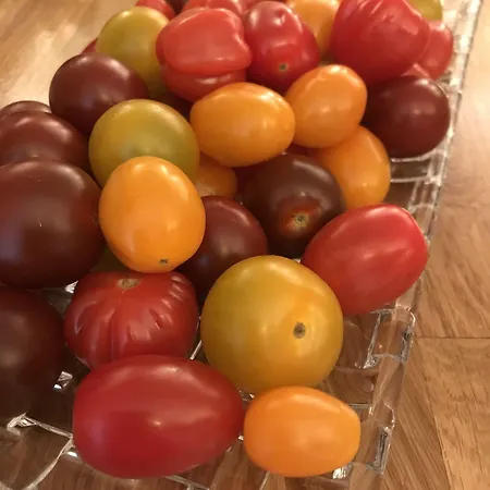 加尼高尔夫酒店 酒店