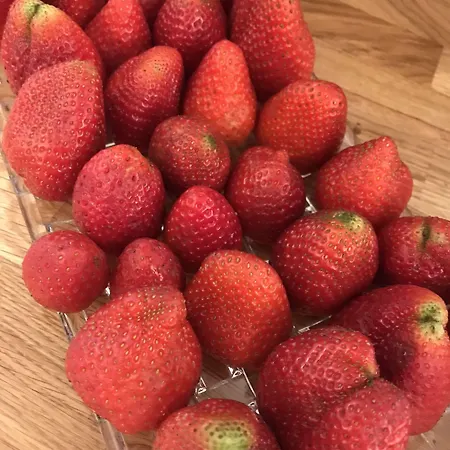 加尼高尔夫酒店 酒店