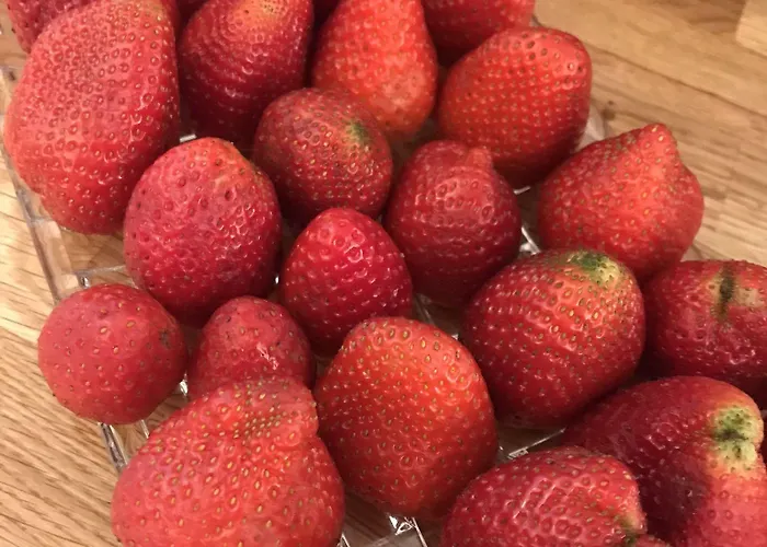 Garni Golf Готель